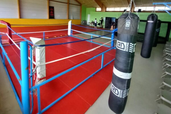 mma puy en velay ring